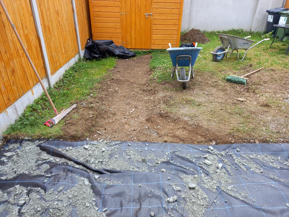 Garden before renovation